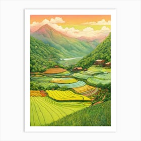 Rice Fields Art Print