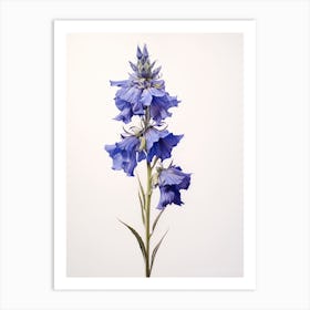 Pressed Flower Botanical Art Larkspur 1 Art Print