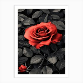 Red Rose On Black Background 27 Art Print