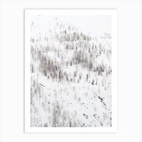 Sparse Winter Forest Art Print