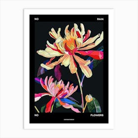 No Rain No Flowers Poster Chrysanthemum 1 Art Print