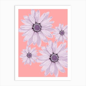 Daisies On A Pink Background Art Print