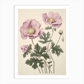 Hanaichige Japanese Anemone 2 Vintage Japanese Botanical Art Print