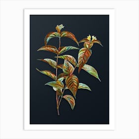 Vintage Northern Bush Honeysuckle Flowers Botanical Watercolor Illustration on Dark Teal Blue n.0957 Art Print