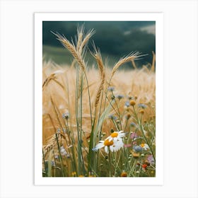 Wildflowers In A Wheat Field Art Print