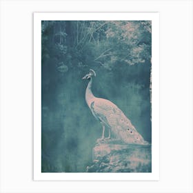 Vintage Peacock By The Lake Cyanotype Inspired 1 Art Print