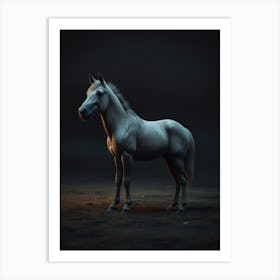 White Horse In The Dark Art Print