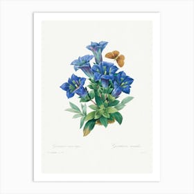 Gentiana Acaulis, Pierre Joseph Redouté Art Print