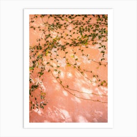 Orange To Pink Art Print