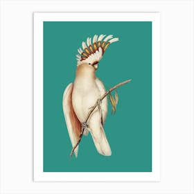 Cockatoo - Aqua Art Print