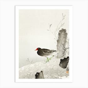 Moorhen (1900 1936), Ohara Koson Art Print