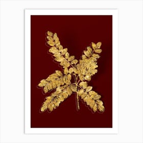 Vintage Clammy Locust Botanical in Gold on Red n.0288 Art Print