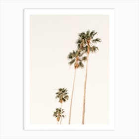 Beach Palm Trees Art Print