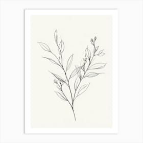 Drawing Of A Branch Art Print