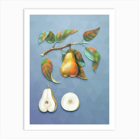 Vintage Pear Botanical Art on Summer Song Blue n.1428 Art Print