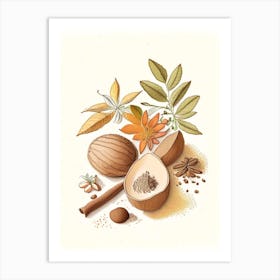 Nutmeg Spices And Herbs Pencil Illustration 1 Art Print