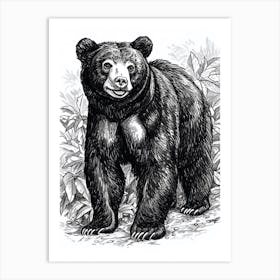 Malayan Sun Bear Standing In A Forests Ink Illustration 4 Art Print