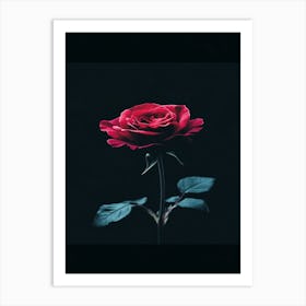 Rose Wallpaper 1 Art Print