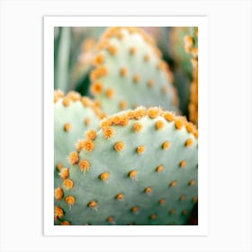 Orange And Green 2 Marrakech Botanical Photography Art Print