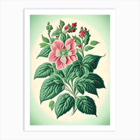 Peppermint 2 Floral Botanical Vintage Poster Flower Art Print