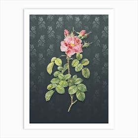 Vintage Four Seasons Rose in Bloom Botanical on Slate Gray Pattern n.0989 Art Print