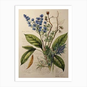 Blue Flowers Art Print