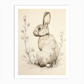 Cinnamon Rabbit Drawing 4 Art Print