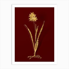 Vintage Ixia Fusco Citrina Botanical in Gold on Red n.0032 Art Print