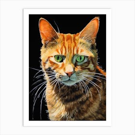 Orange Tabby Cat 9 Art Print