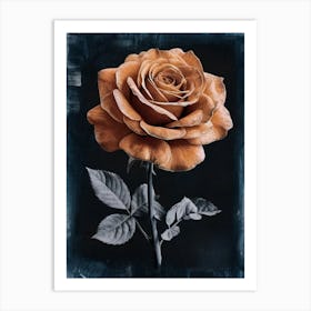 Rose Art Print