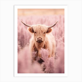 Highland Cow In Field With Long Pink Grass 2 Art Print