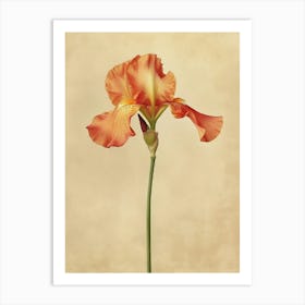 2024 May Poster Canvas Sng Iris 32 Art Print