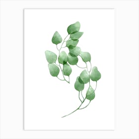 Eucalyptus Leaf Watercolor Illustration Art Print