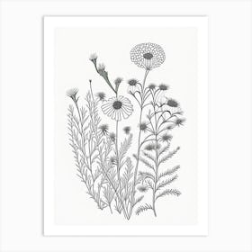 Chamomile Herb William Morris Inspired Line Drawing 1 Art Print