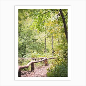 New York, USA I Green nature walk in Central Park like a forest of trees, a lake or hiking trails in NYC big apple wild savage boho and stunning Moody aesthetic for Fine Art photography Art Print