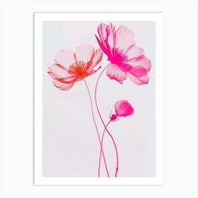 Hot Pink Cosmos 1 Art Print