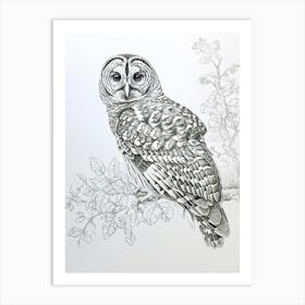 Barred Owl Marker Drawing 1 Art Print