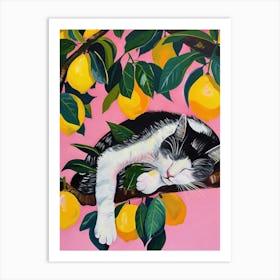 Sleeping Cat By Lemon Tree Art Print