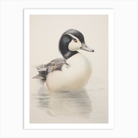 Vintage Bird Drawing Bufflehead 2 Art Print