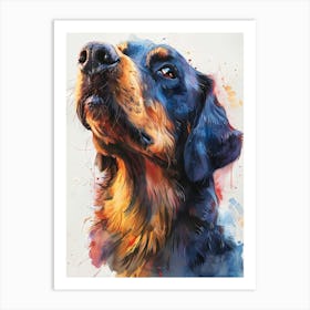 Dachshund Art Print