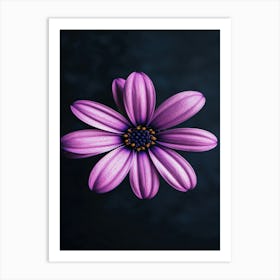 Purple Flower 2 Art Print