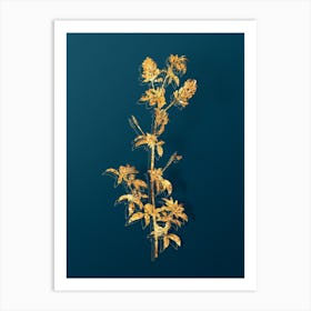 Vintage Spanish Clover Bloom Botanical in Gold on Teal Blue n.0200 Art Print