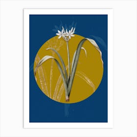 Vintage Botanical Small Flowered Pancratium on Circle Yellow on Blue Art Print