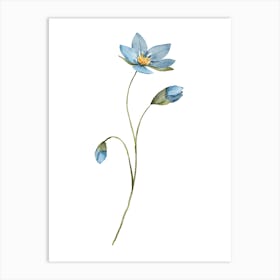 Blue Flower 9 Art Print