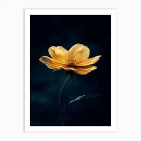 Yellow Flower 7 Art Print