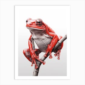 Red Tree Frog Realistic 2 Art Print