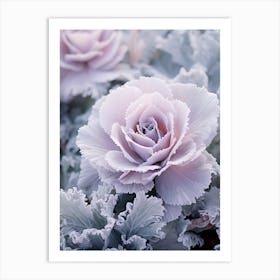 Frosty Botanical Ornamental Cabbage Art Print