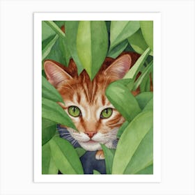 Cat Peeking Out Of Leaves Art Print