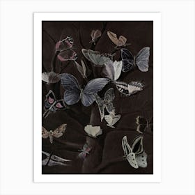 Butterflies On A Tree Art Print