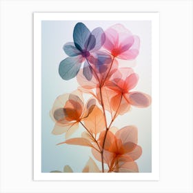 Elena Tupiga Botanical Chromatography Luminogram Double Expos Cd0414b5 C2be 4e1a Ab96 9d7eb0cebb1c 2 Art Print